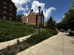 AGrassmann5.jpg